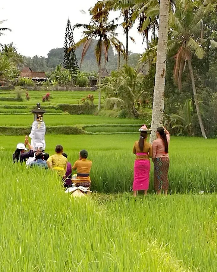 Bed & Breakfast Taman Eden Cottage Ubud