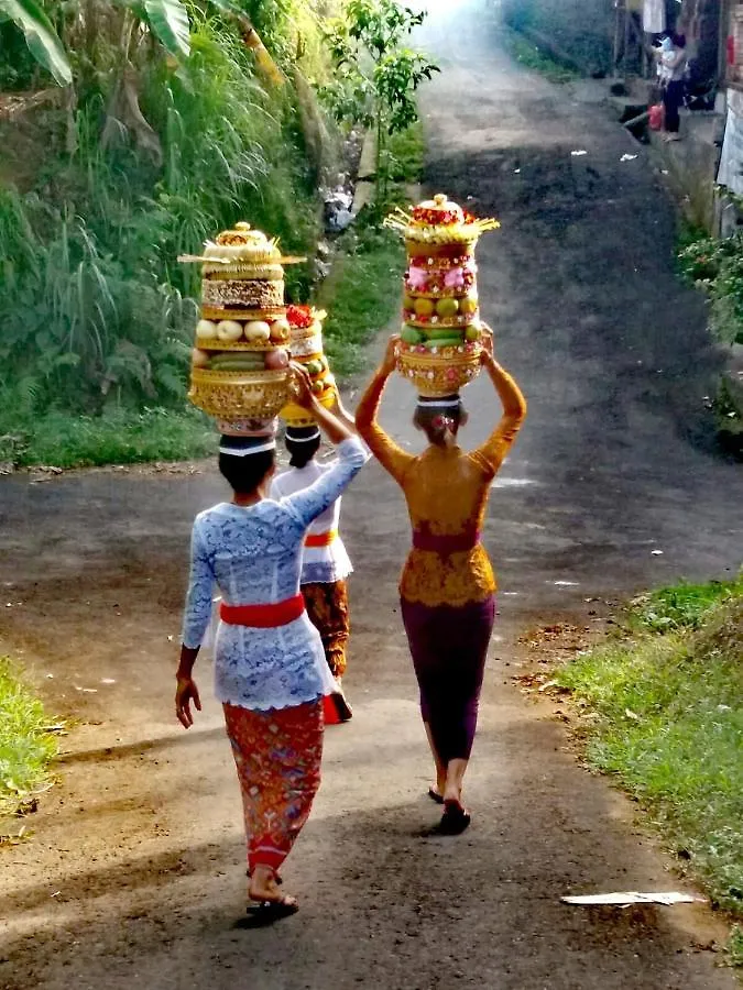 Taman Eden Cottage Ubud 0*,  Indonésie