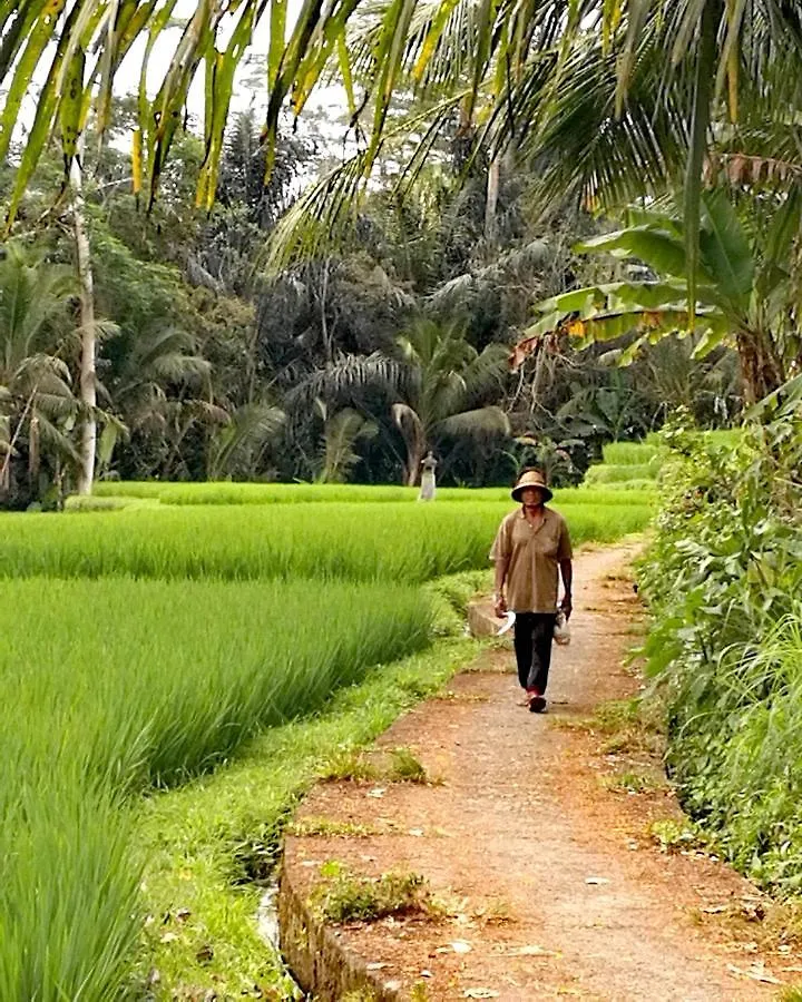 Taman Eden Cottage Ubud  Indonesia