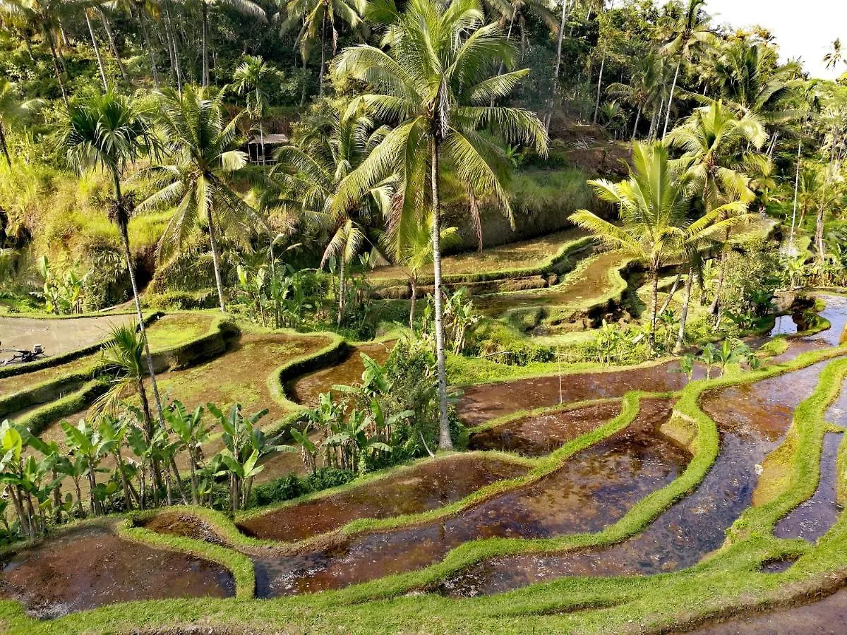 Taman Eden Cottage Ubud