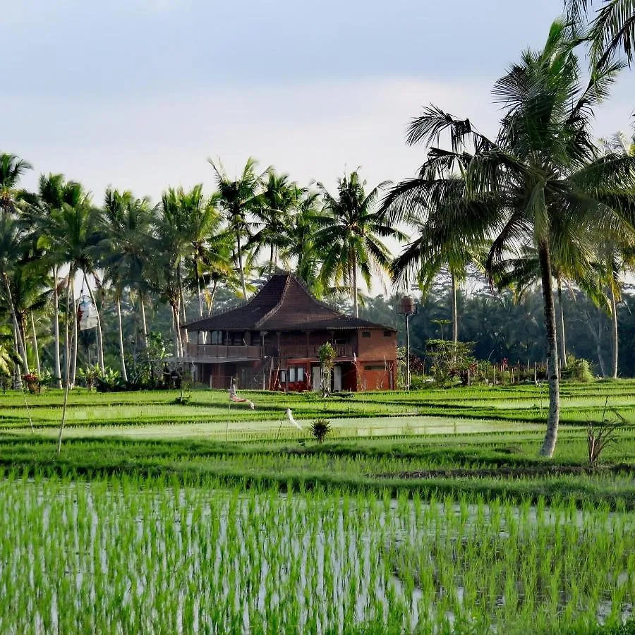 Taman Eden Cottage Ubud