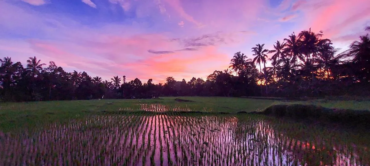 Bed & Breakfast Taman Eden Cottage Ubud  Indonesia